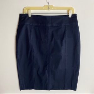 Ann Taylor Astor Pencil Skirt.